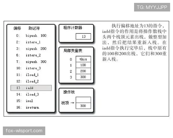 篮球挑战判罚规则的申请机制与执行流程解析